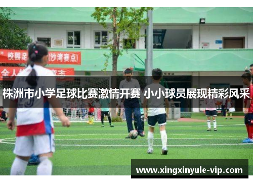 株洲市小学足球比赛激情开赛 小小球员展现精彩风采