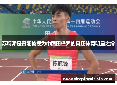苏炳添是否能被视为中国田径界的真正体育明星之辩